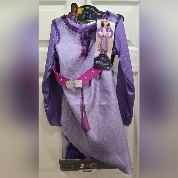 Disney Other - Disney Wish Asha Costume